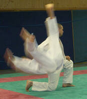 Freiburger Budo- und Freizeit - Club gemeinnütziger e.V. Freiburger Budo- und Freizeit - Club gemeinnütziger e.V.