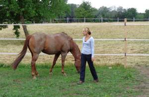 (spielerisch) Reiten lernen (spielerisch) Reiten lernen